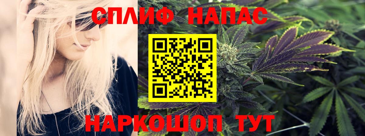 Конопля White Widow Верхняя Салда